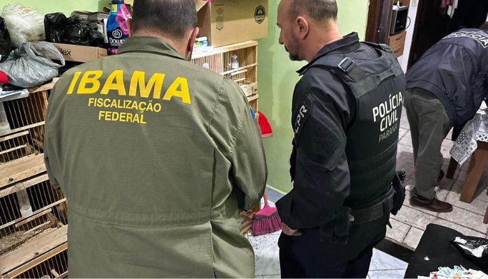 Foto: PCPR PCPR deflagra operação para desarticular um dos maiores grupos de tráfico internacional de animais do País